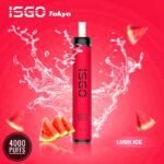 Isgo Tokyo 4000 Puffs