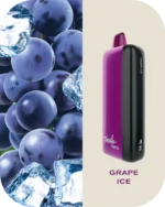 indic_grape_ice.jpg